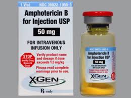Amphotericin B Inj 50mg Vial